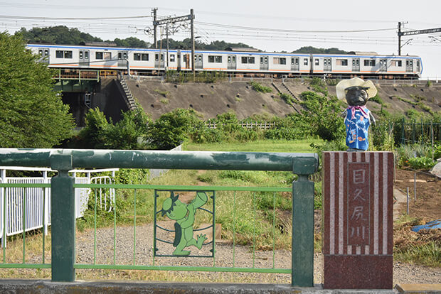 The 8000 series in summer
