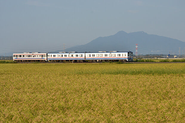 Mt. Tsukuba, golden fields of rice ready for harvest, and the Beer Train