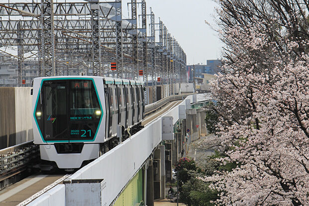 The 2020 series set 21 and cherry blossoms