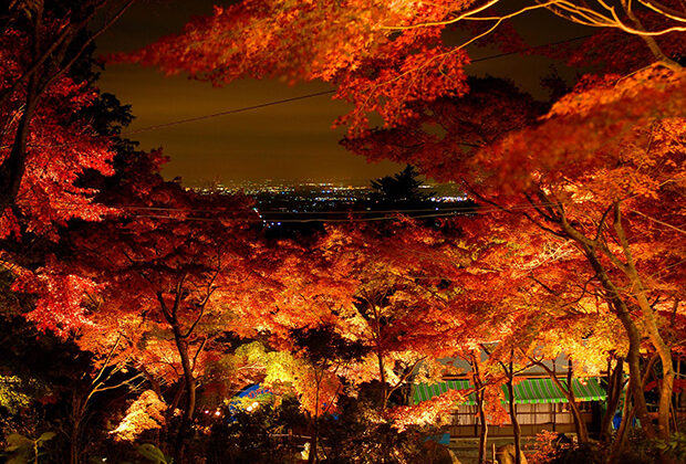 The night view and autumn leaves of Mt. Tsukuba 