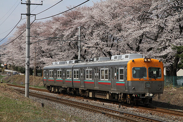 The 700 series and a spot famous for cherry blossoms