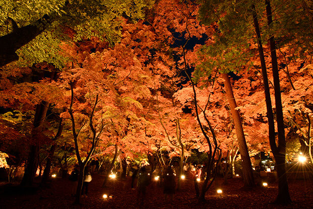 One of the top 100 views of autumn leaves in Japan