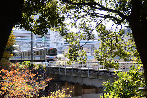The Rinkai Line amid an autumn breeze