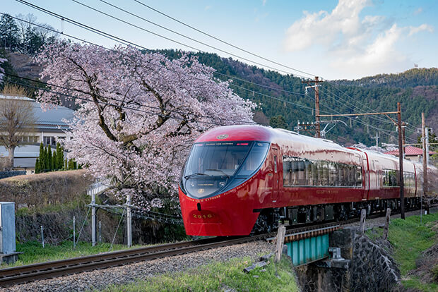 The Fujisan View Express and cherry blossoms