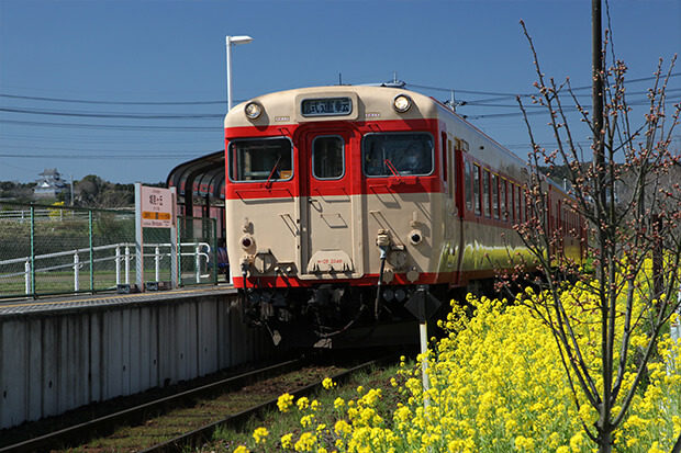 The KIHA 52 series and a view of Otaki Castle in the distance